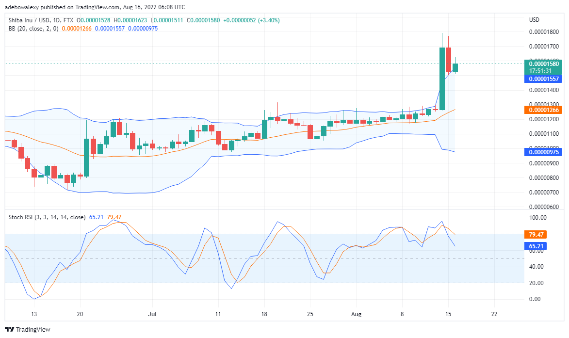 Shiba Inu is Regressing, But Tomadoge will Trend Upwards