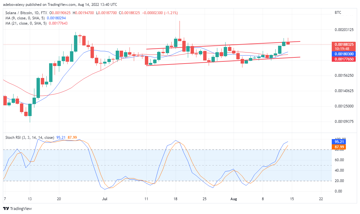 Solana Price Analysis for August 15th: SOL Stays Significantly Bullish