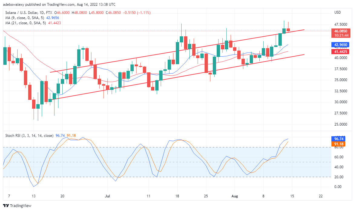 15月XNUMX日のSolana価格分析：SOLは大幅に強気のまま