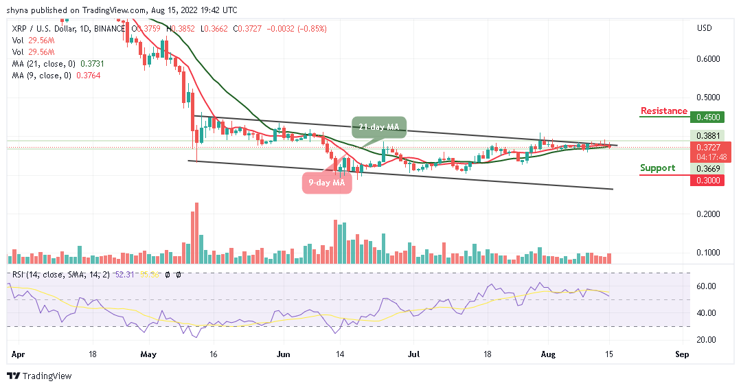 Ripple Price Prediction