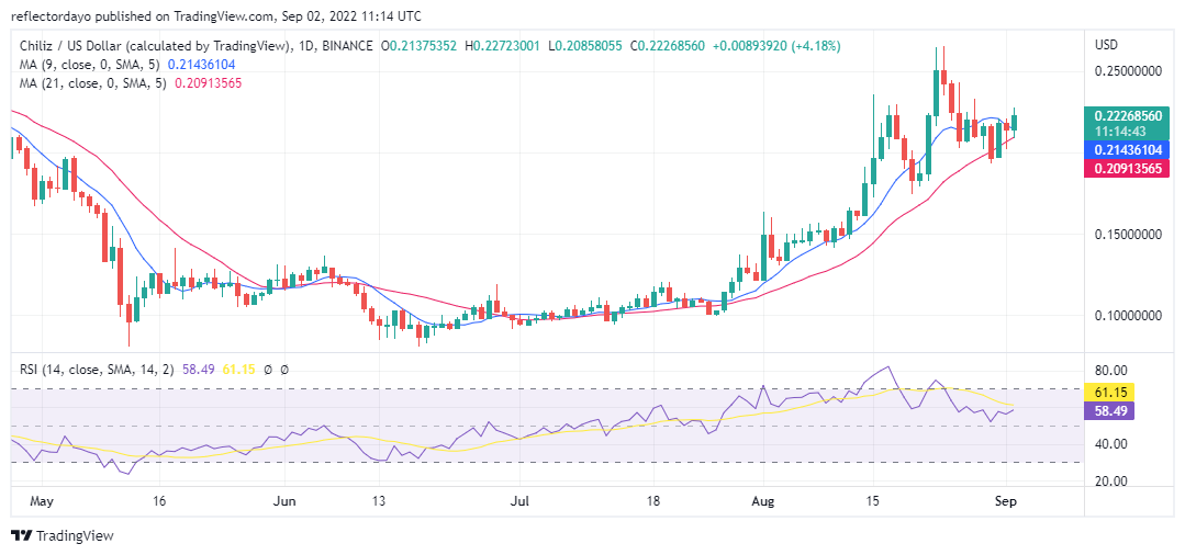 Chiliz Price Analysis for 2nd of September: CHZ/USD Appears to Be Consolidating Above the $0.1963414 Support