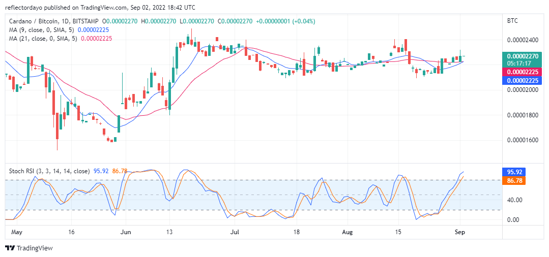 ADA Only Clinching Minimal Profit, There Is a Bullish Sign for TAMA