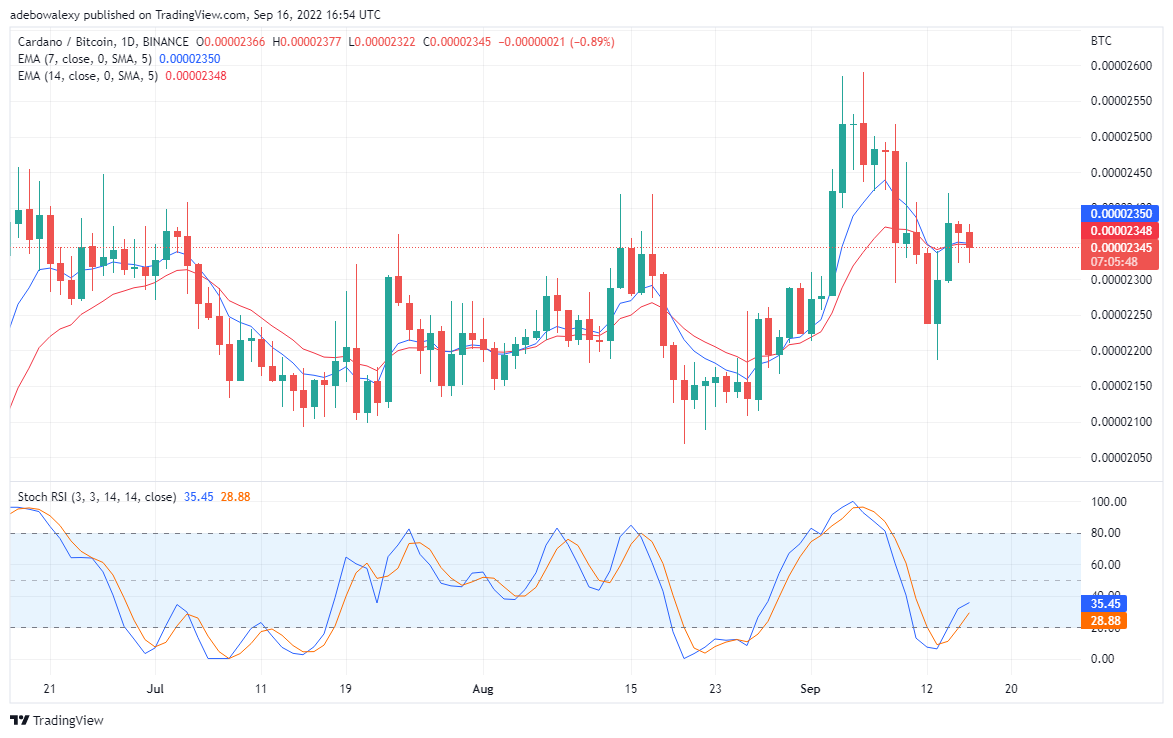 Cardano Resumes Its Downtrend, Tamadoge to Skyrocket
