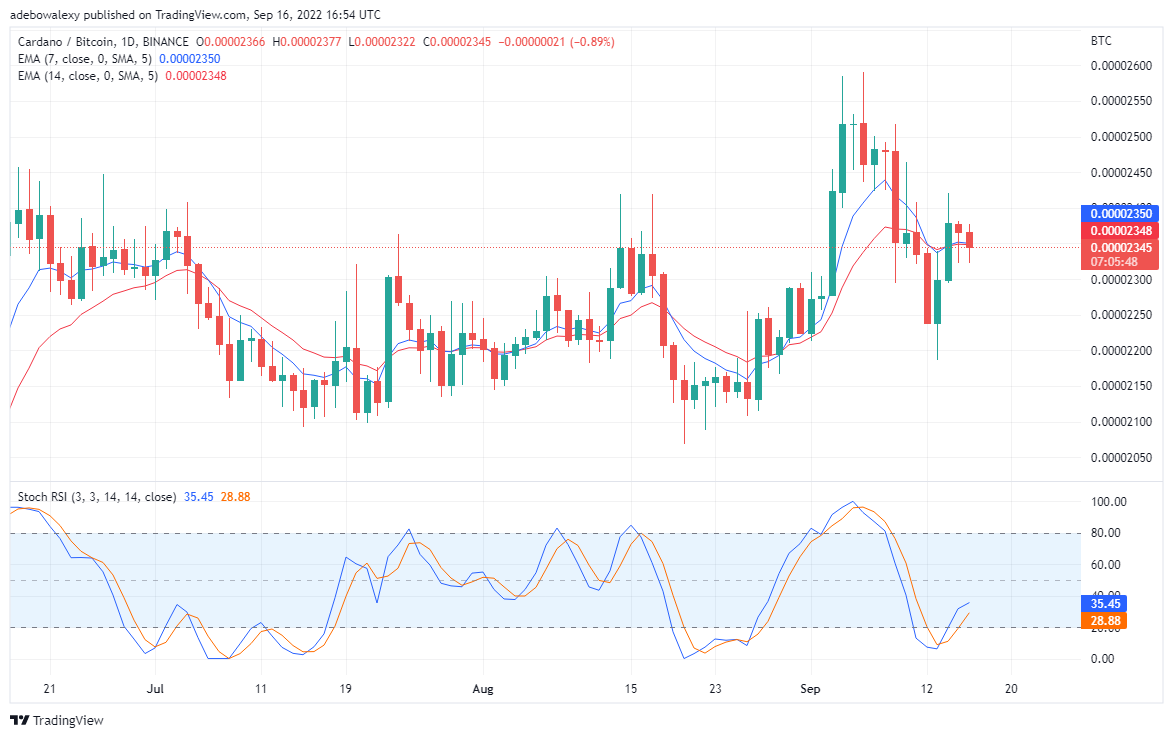 Cardano өзінің құлдырау тенденциясын қалпына келтіреді, Тамадодж Skyrocket-ке дейін