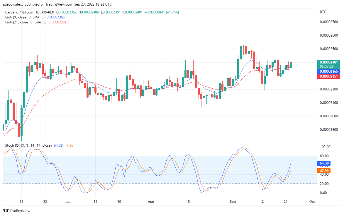 Cardano Appears Set to Retrace Higher Resistance, Tamadoge Goes Stronger
