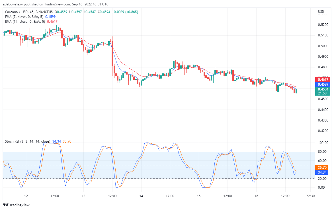 Cardano Resumes Its Downtrend, Tamadoge to Skyrocket