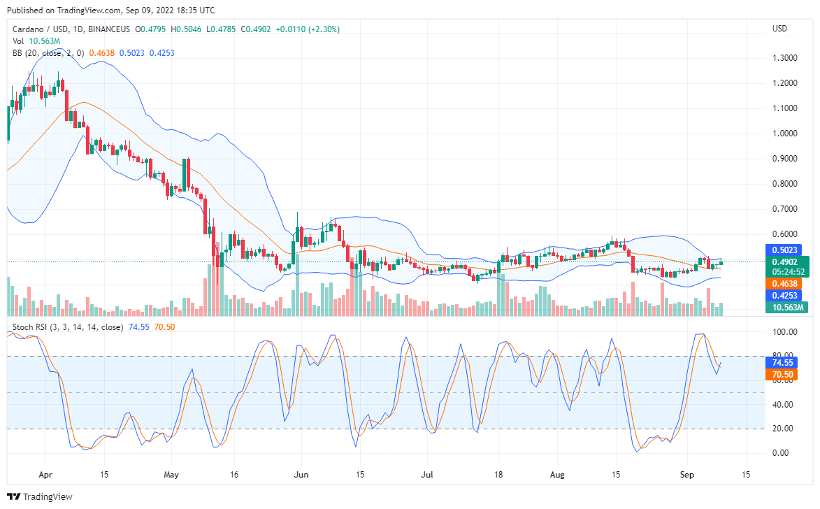 Cardano ถอยการสนับสนุนที่สูงขึ้น TAMA ระเบิด Skywards