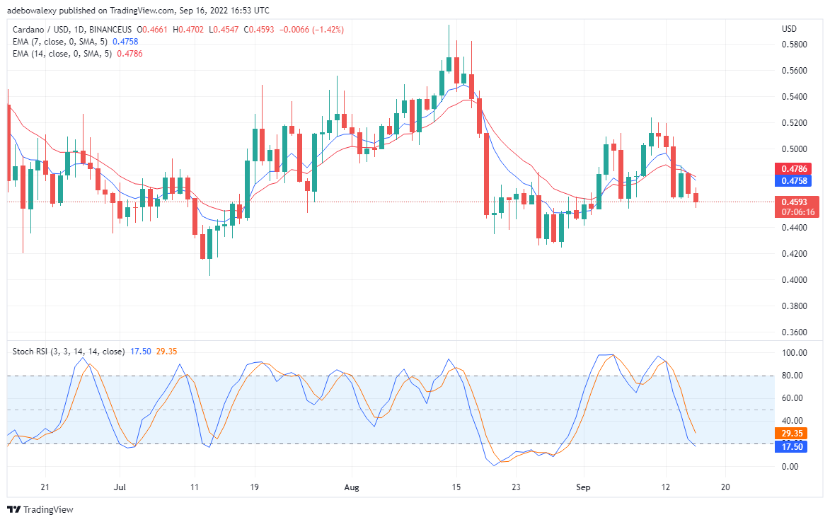 Cardano Resumes Its Downtrend, Tamadoge to Skyrocket