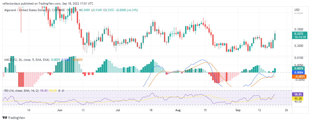 אַלגאָראַנד (ALGO / USD) פּרייַז אַנאַליסיס פֿאַר 20 סעפטעמבער: די בולל ס מאַרקעט