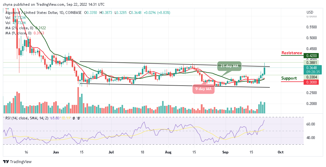 Ціна ALGO перевищила рівень $0.38, оскільки TAMA стає гарячішим!