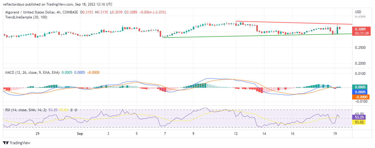 Algorand Price Analysis for 19th of September: ALGO/USD Preparing for A Bullish Reversal