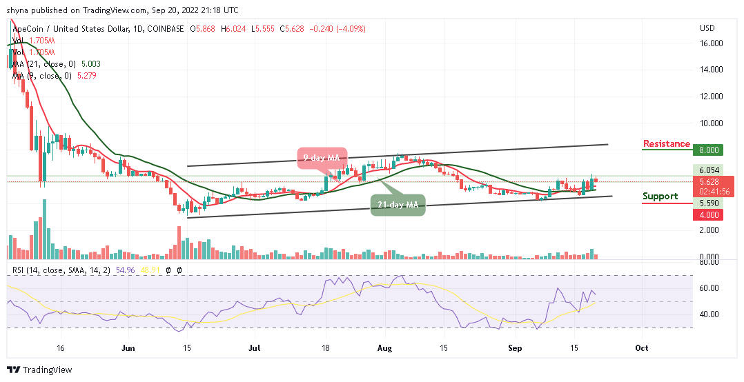 ApeCoin (APE) ភ្នែក $10 ជា Tamadoge (TAMA) មើលទៅស្រស់ស្អាត