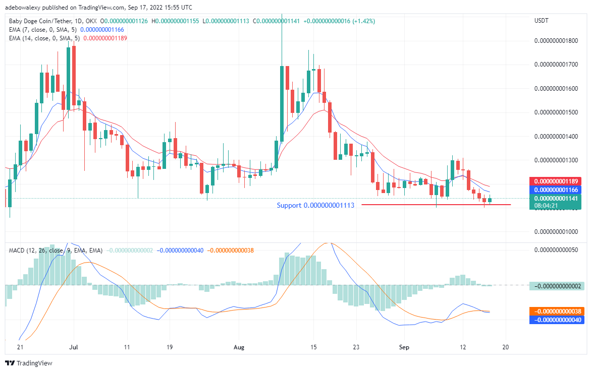 Bears May Be Exhausted in Baby Doge’s Market, Tamadoge Remains Traders’ Favorite