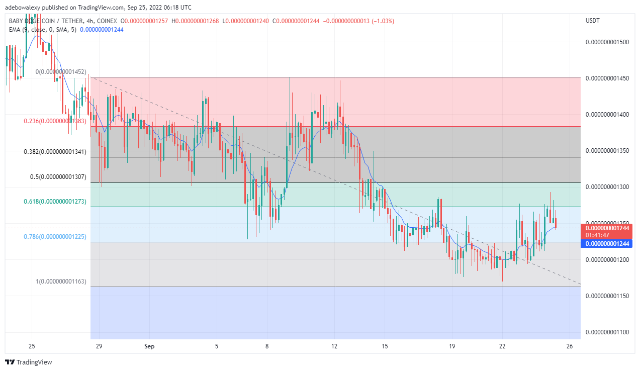 Το Baby Doge δείχνει το Promise, το Tamadogen Goes Live στο OKX