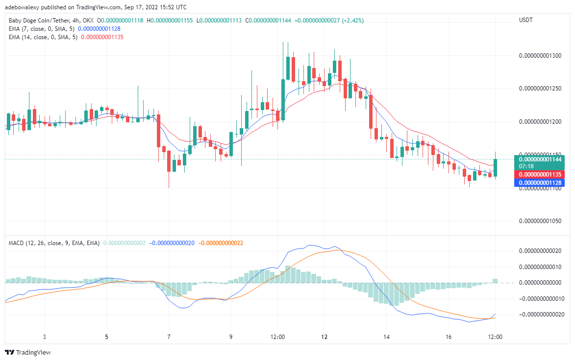 Los osos pueden estar agotados en el mercado de Baby Doge, Tamadoge sigue siendo el favorito de los comerciantes