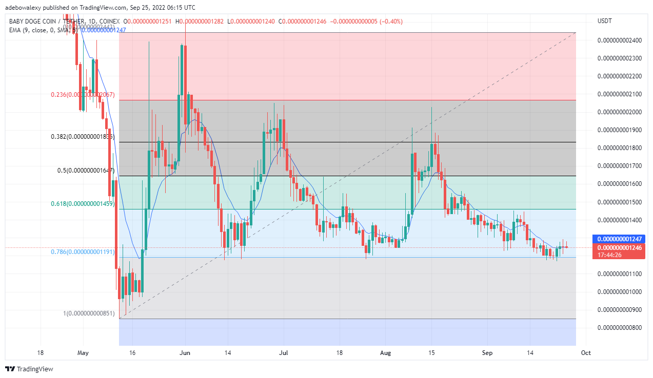 Baby Doge Menunjukkan Janji, Tamadoge Bersiaran Langsung di OKX