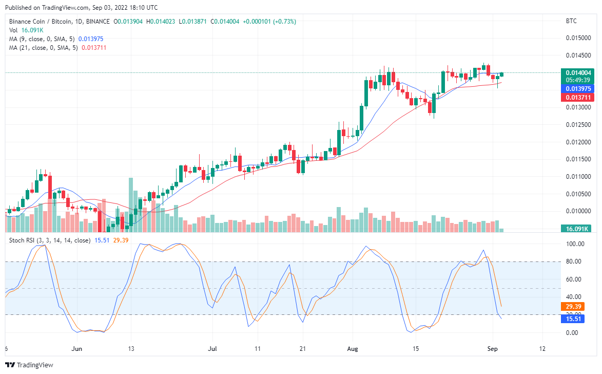 Binance Coin טריינג צו אָפּשפּרונג צו אַ העכער מדרגה, קוינע פּריפערז טאַמאַדאָגע