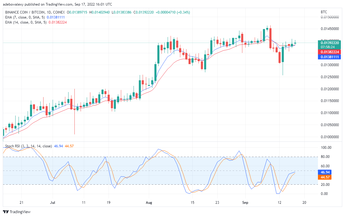 BNB Bullish Reversal, TAMA Brings a More Lucrative Market BNB/USD price activity has started a correction off the long-established upward slopping support. This reversal