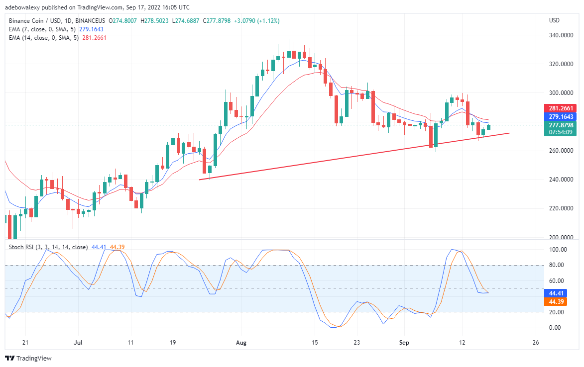 BNB Bullish Reversal, TAMA Brings a More Profitable Market BNB/USD price action has begun to correct from long-established upward sliding support.  This reverse