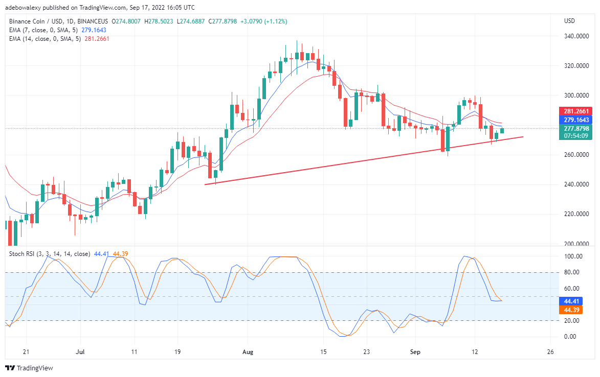 BNB Bullish Reversal, TAMA brengt een meer lucratieve markt De prijsactiviteit van BNB/USD is begonnen met een correctie van de lang gevestigde opwaartse steun. deze omkering