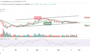 BNB Pulls Back at a Critical Resistance, Is $300 Coming?