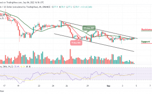 BNB Could Test Support at $250 as TAMA Jumps Northwards