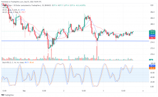 Binance Coin Trying to Bounce Towards Higher Level, Buyer Prefers Tamadoge