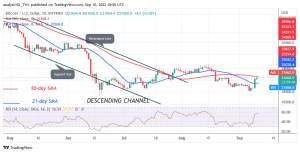 Bitcoin Price Prediction for Today September 10: BTC Price Recovers but Challenges the 22K Resistance Zone