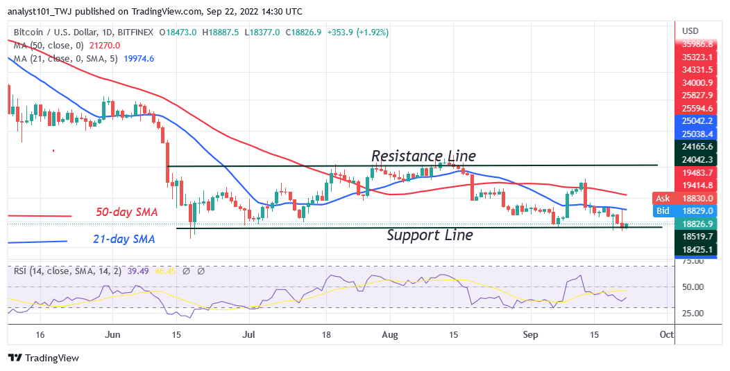 Bitcoin Price Prediction for Today September 22: BTC Price Rises as Buyers Recoup above the $18.2K Low