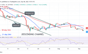 Bitcoin Price Prediction for Today September 8: BTC Price Reclaims the $19.5K Support