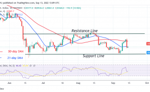 Bitcoin Price Prediction for Today September 13: BTC Price Plunges above $20.3K Low
