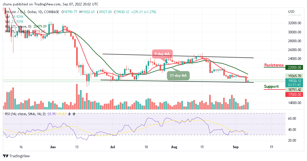 BTC Trades Above $19,000; the Sky is the Beginning for TAMA