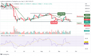 BTC Retreats After Trading Above $19,900; Invest in Tamadoge today!