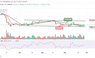 BTC Spikes Above $20,000, TAMA is rated a BUY