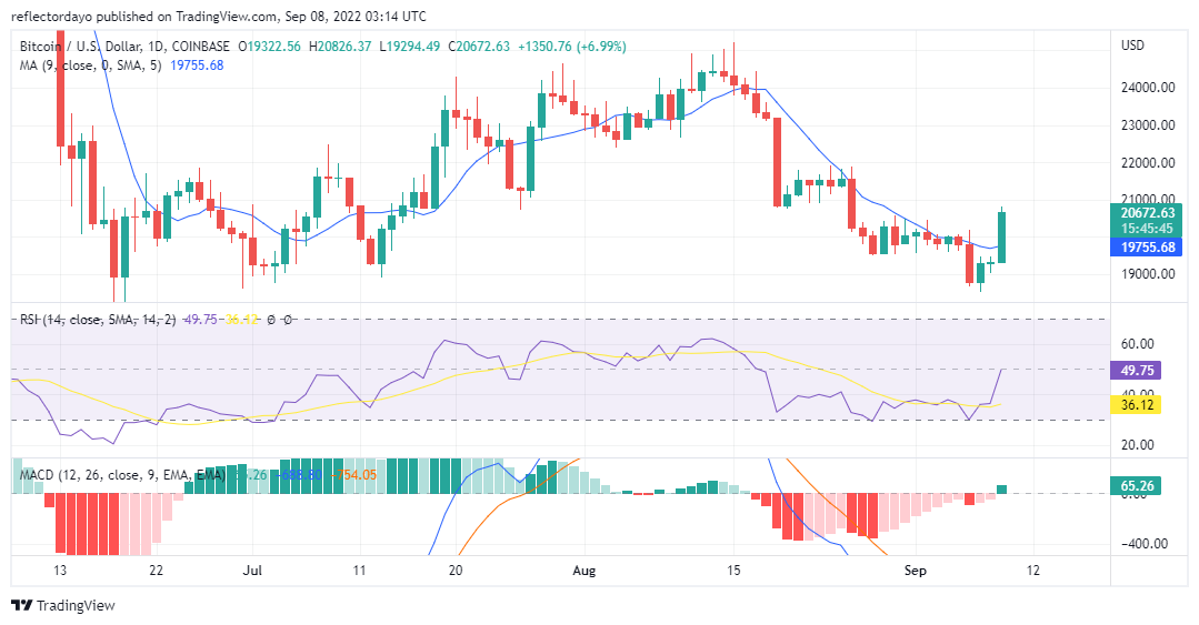 Bitcoin Price Analysis for 9th of September: BTC/USD Smashes Through $20,000 Resistance Level