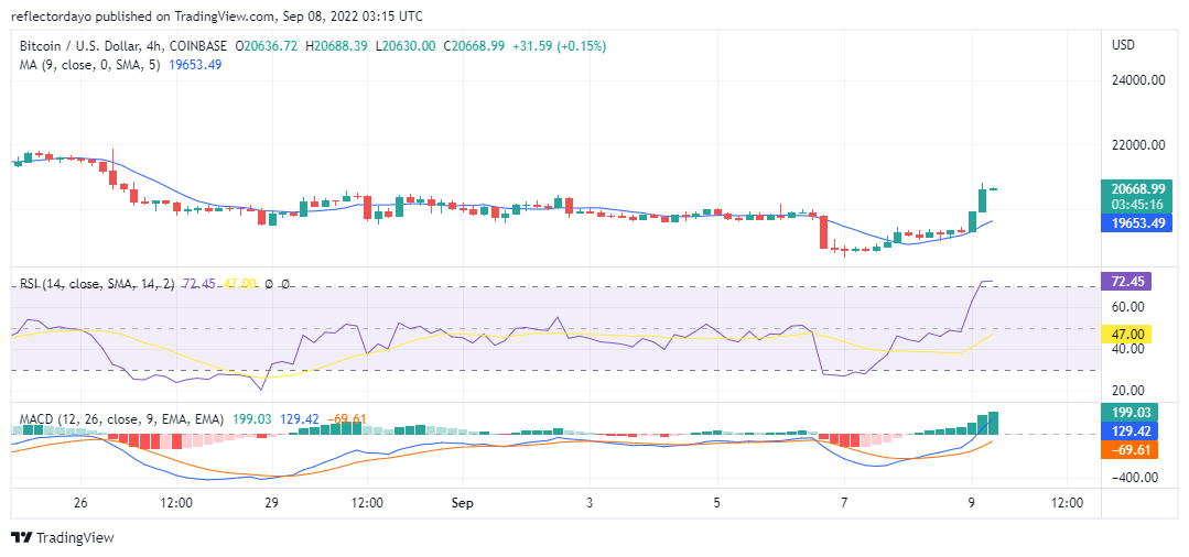 Bitcoin Price Analysis for 9th of September: BTC/USD Smashes Through $20,000 Resistance Level