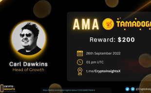 Crypto Insights Held Tamadoge AMA ahead of Crypto Listing