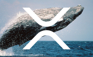Crypto whales