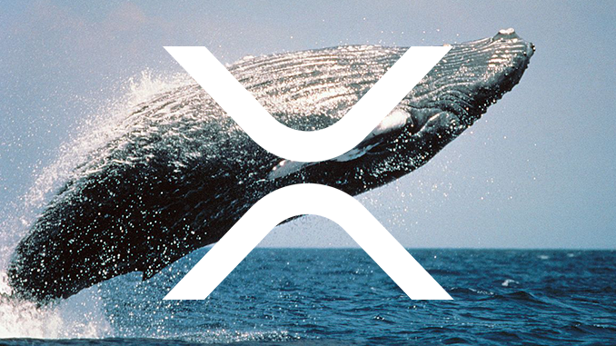 Crypto whales