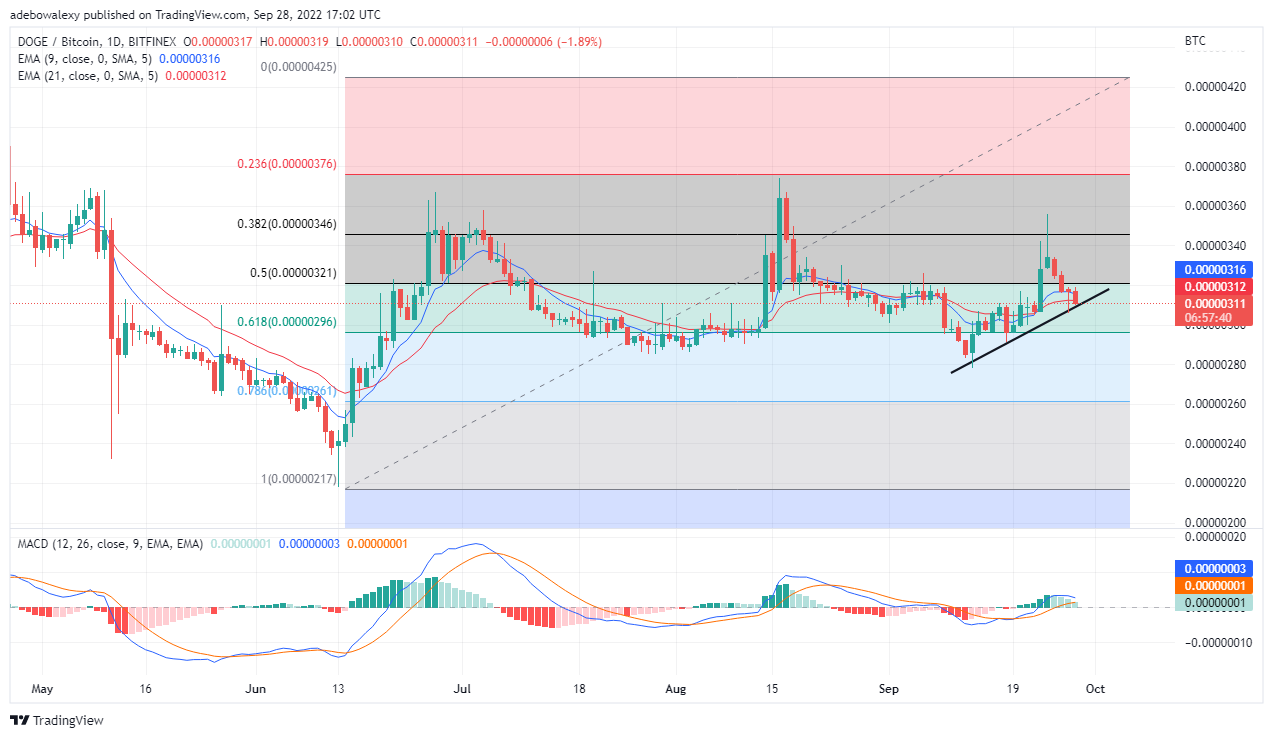 Dogecoin’s Price Analysis: DOGE Is Consolidating