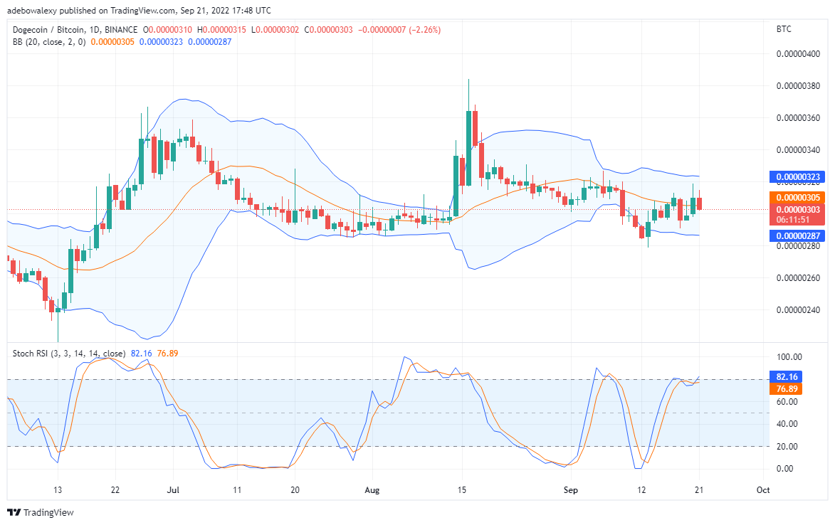 DOGE Trying to Recapture Higher Price Levels, Windfall Coming for TAMA