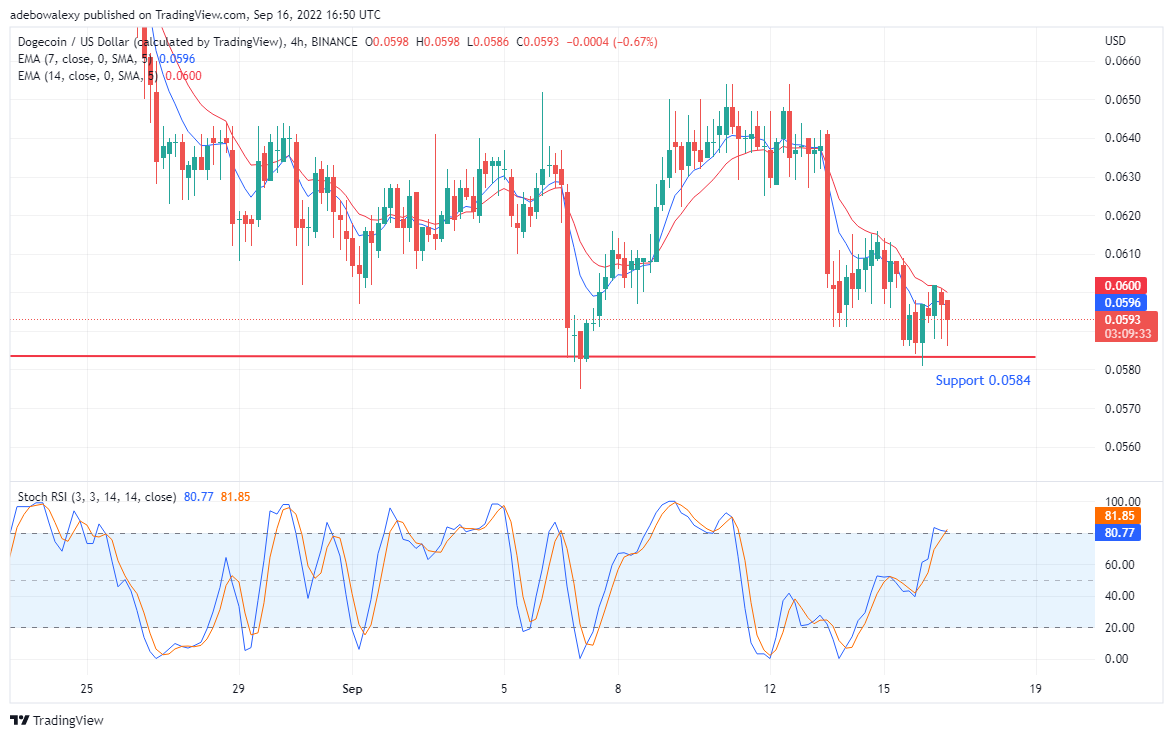 Bears Throws DOGE Market Into Confusion, TAMA Arrives a Success