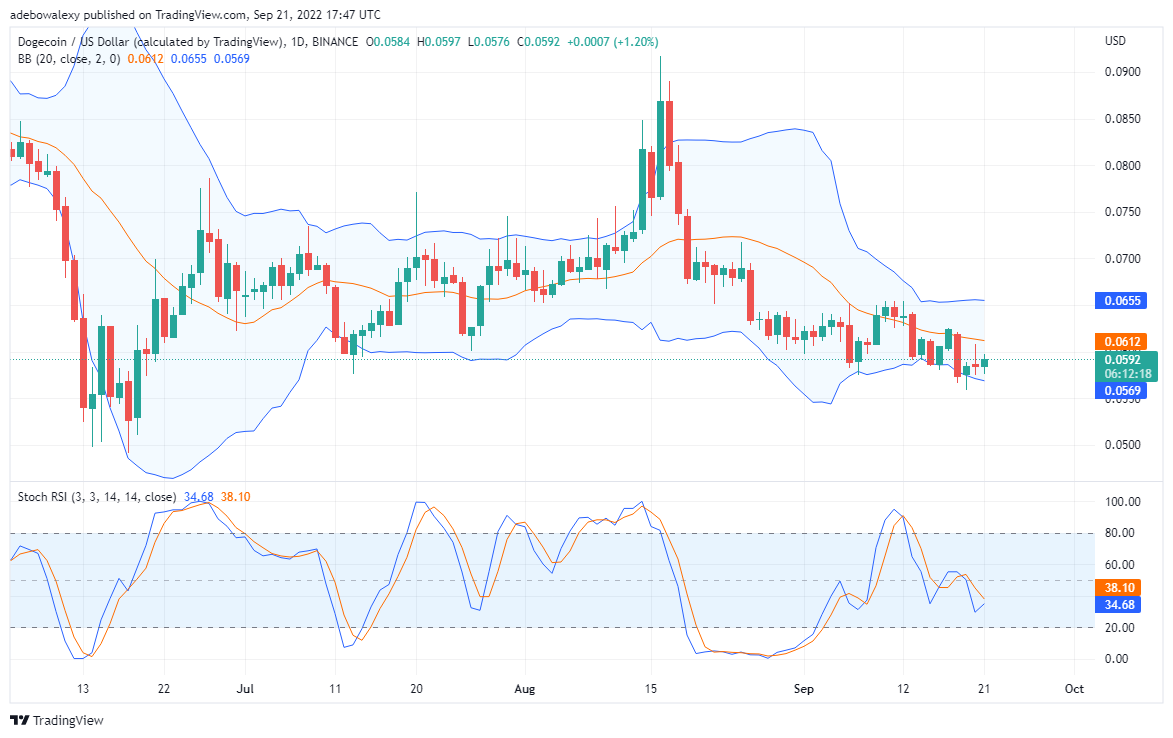 DOGE Trying to Recapture Higher Price Levels, Windfall Coming for TAMA