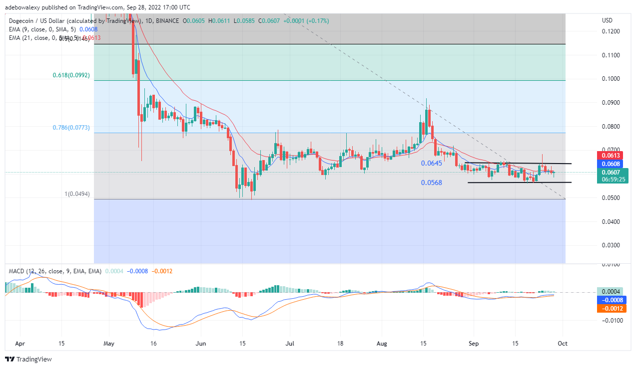 Dogecoin’s Price Analysis: DOGE Is Consolidating