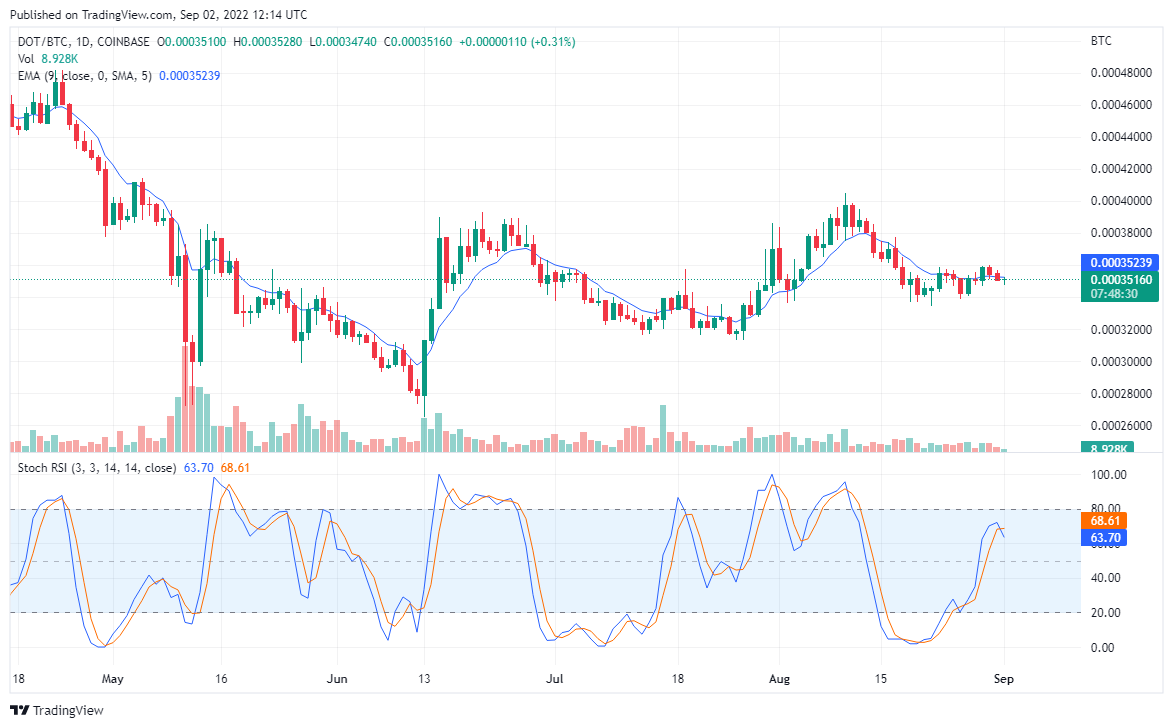 DOT May Only Record Minimal Gains, There Is a Bullish Signs for TAMA
