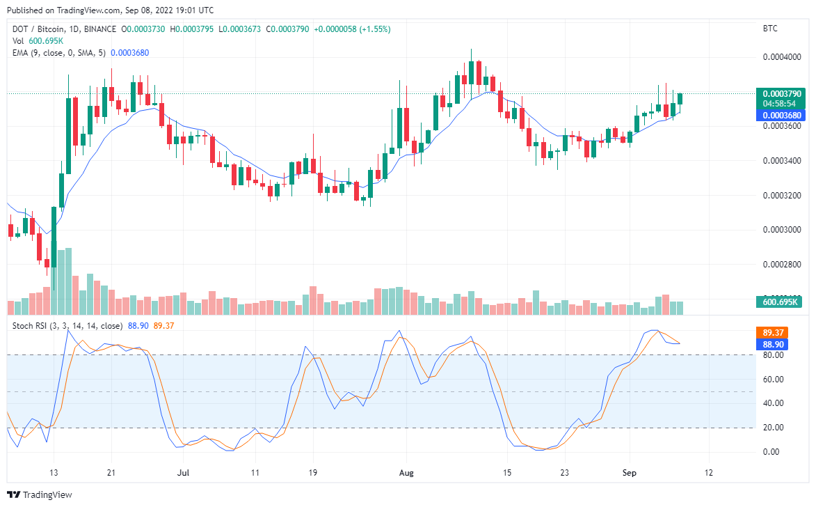 DOT Begins an Upside Correction, TAMA explodes Skywards