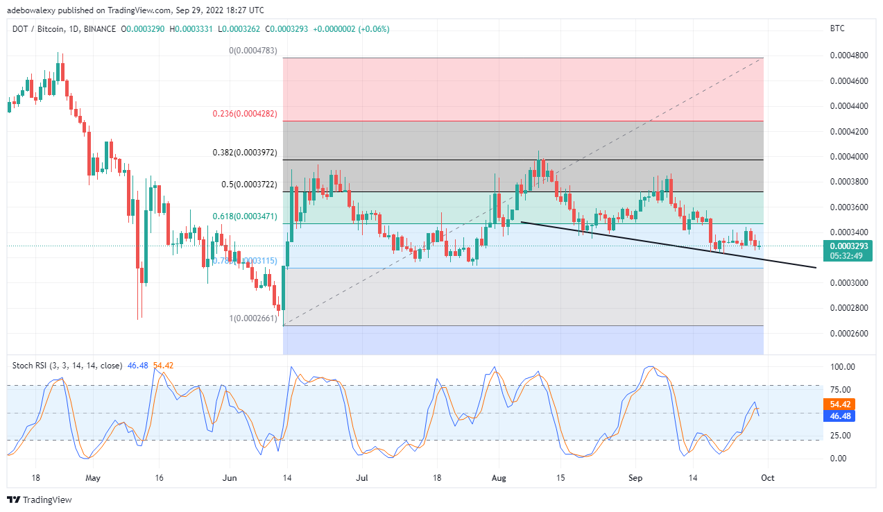 Polkadots 가격 분석: Dot/USD 시장은 계속 하락할 수 있습니다