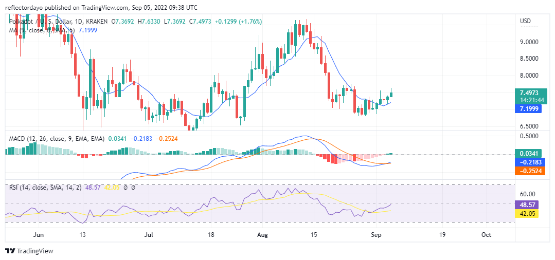 Polkadot Price Analysis for 5th of September: DOT/USD Time for the High Swing
