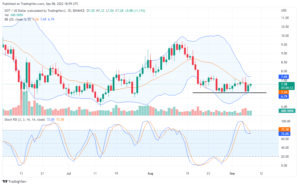 DOT Begins an Upside Correction, TAMA explodes Skywards