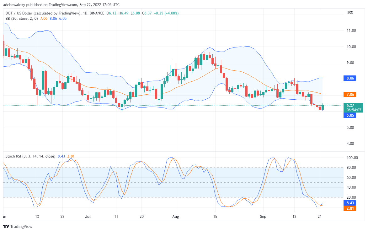 DOT fänkt seng Upward Value Retracement un, TAMA gëtt ëmmer méi waarm